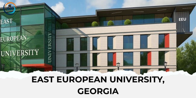 East European University